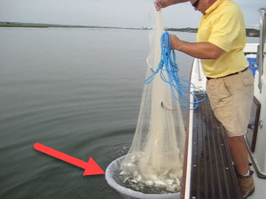 Bait Transfer Pen (DIY Floatation)